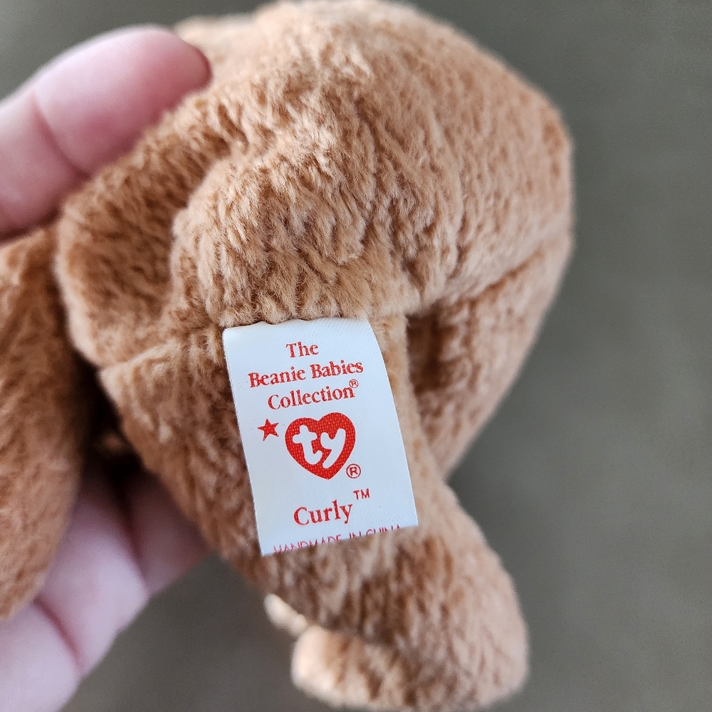 4 ty Beanie Baby's Lot - Halo, Peace, Curly, and Valentino - Picture 8 of 16